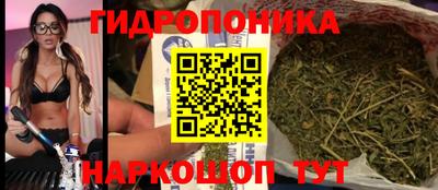 трава Будённовск