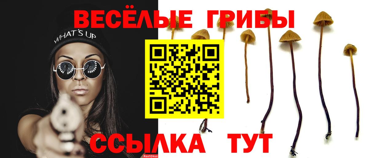 Сарапул  Галлюциногенные грибы прущие грибы  Вход с VPN 